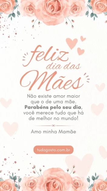 Stories dia das mães